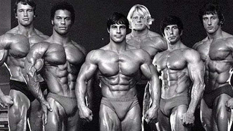 A collection of the world's greatest aesthetic physiques including Frank Zane and Arnold Schwarzenegger