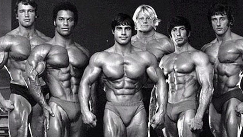 Bodybuilding vs. Aesthetics