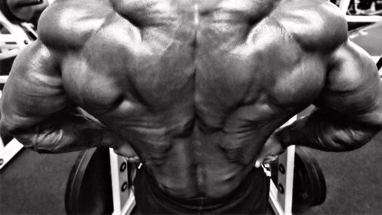 3 Essential Exercises for a Stronger Lower Back SpotMeBro.com