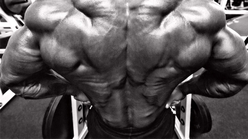 bodybuilder with strong lower back muscles