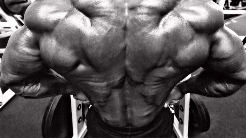 Back Exercises For Bodybuilding