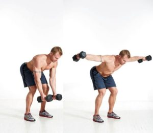 Reverse fly back workout