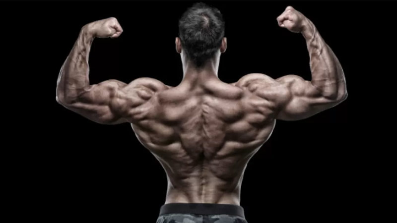 3 Essential Exercises For A Stronger Lower Back SpotMeBro