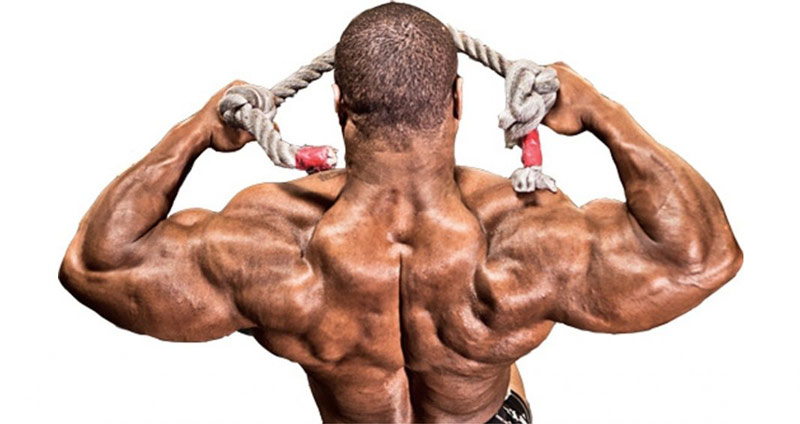 muscular bodybuilder showing developed deltoid muscles
