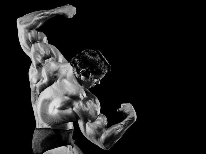 Motivational photograph of Arnold Schwarzenegger posing