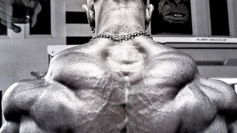 Best Trap Workouts: xx Workout Moves for Building Massive Traps