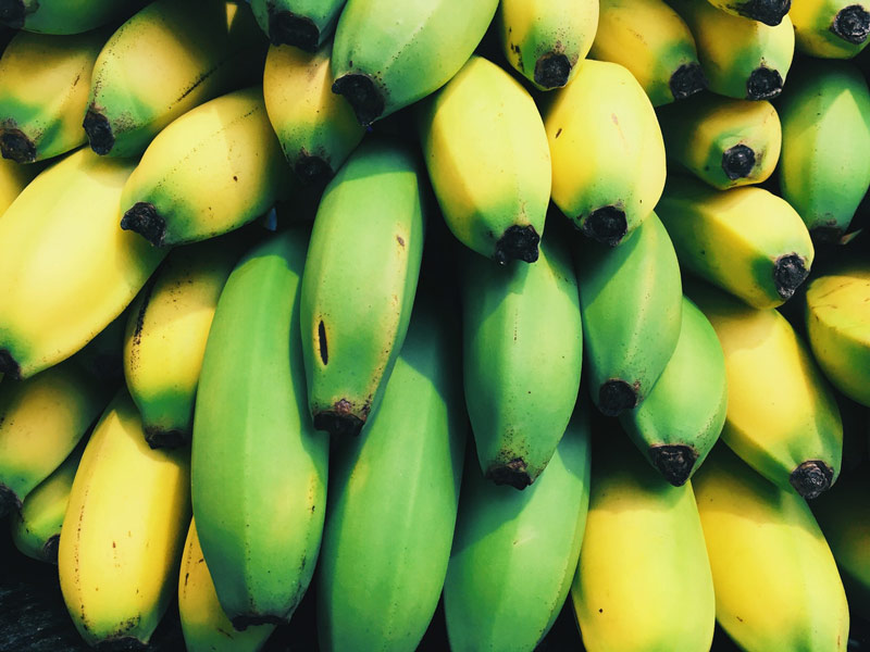 bananas for weight loss decrease appetite