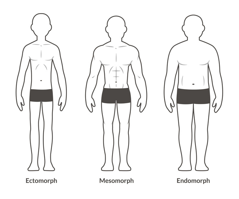 ecto mesomorphs diet