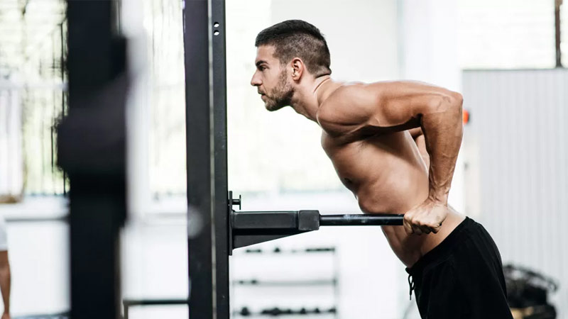 ectomorph training tricep dips