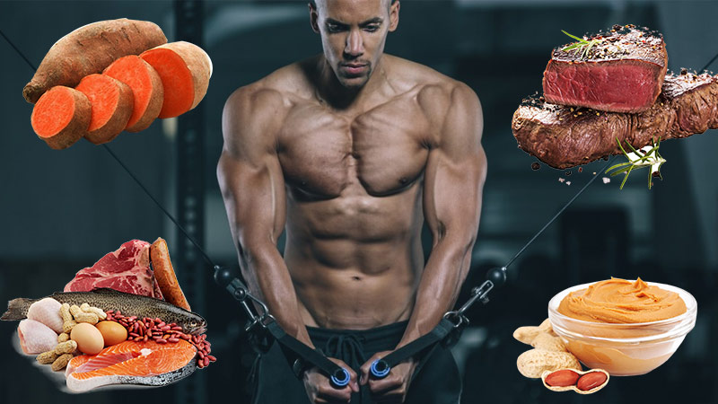 ectomorph bodybuilder diet