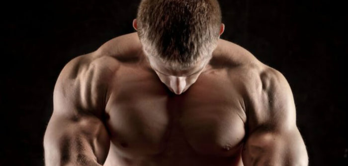 high testosterone muscular man upper body