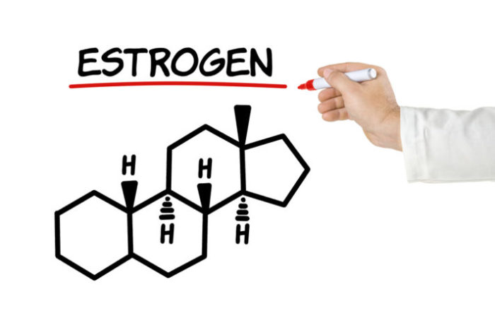 estrogen chemical compound