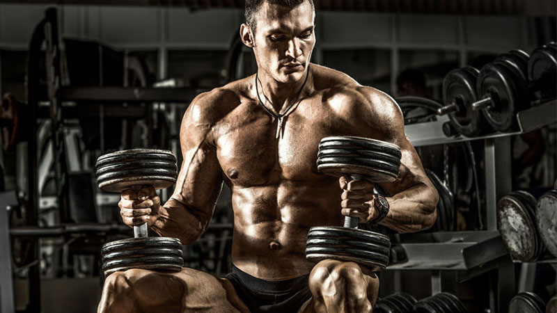 bodybuilder performing muscle building program with two dumbbells