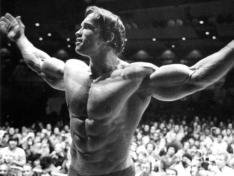 arnold schwarzenegger swole physique