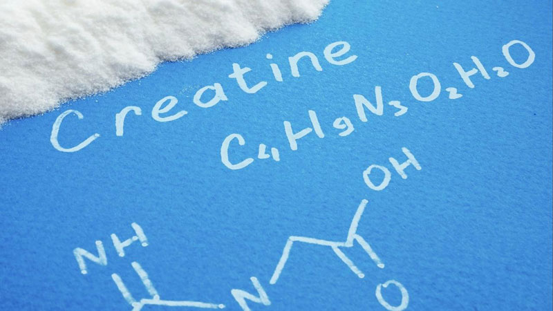 Low dose creatine shown in scientific formula