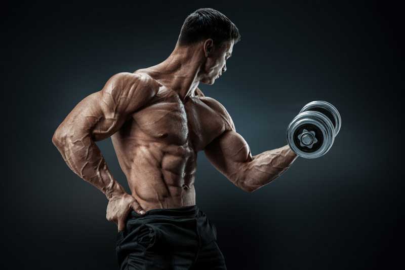 muscular bodybuilder with low body fat performing bicep curl as part of lean bulk