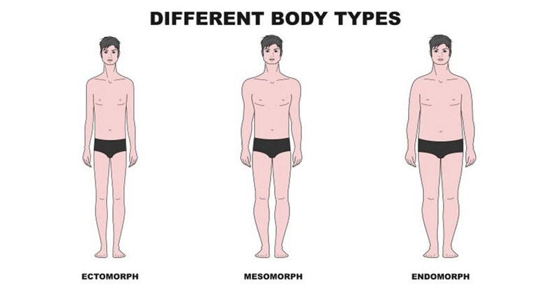 Illustration showing different body types