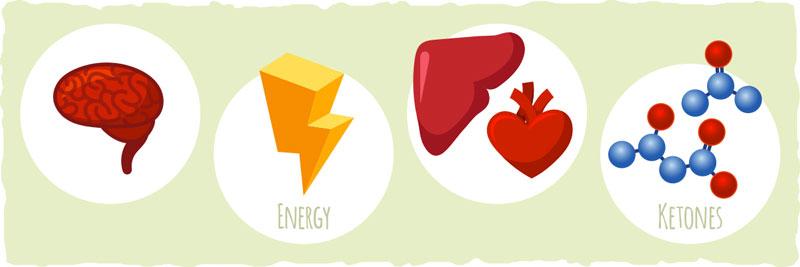 Illustration showing various ketogenic diet side effects