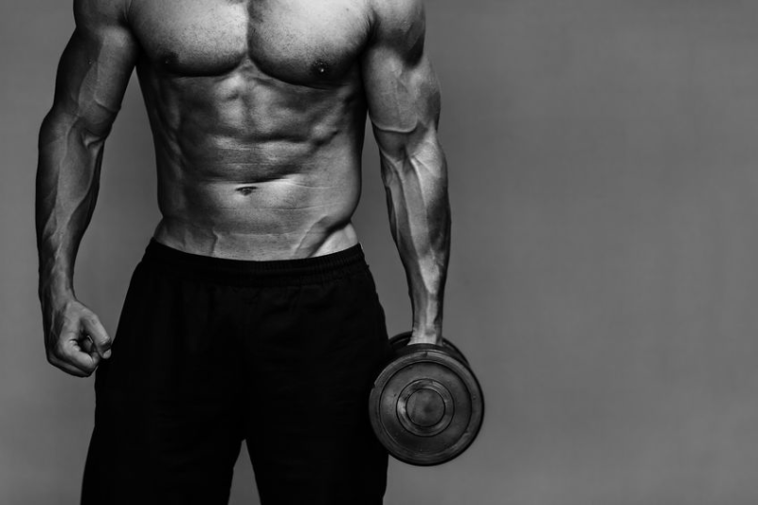 Best Fat Burners For Bodybuilders •